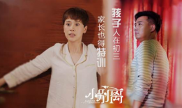 海清演的电视剧有哪些,一部部经典剧集见证成长与蜕变